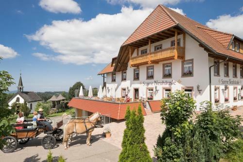 Hostal Gasthaus Sonne Neuh�usle