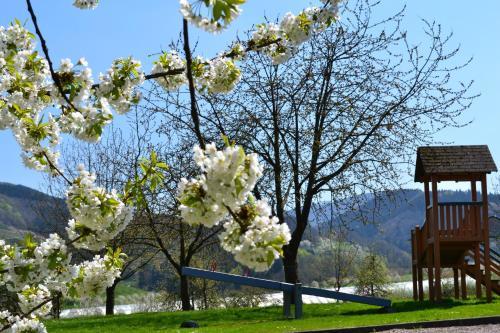 Hotel Die Alm