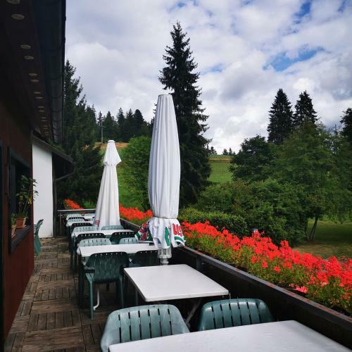 Hostal Schwarzwaldgasthof Hotel Hirschen