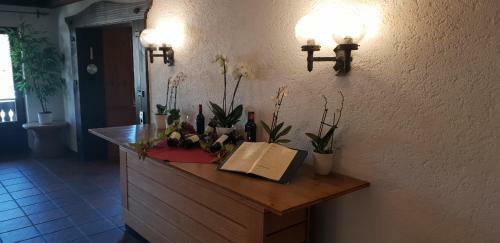 Hostal Schwarzwaldgasthof Hotel Hirschen