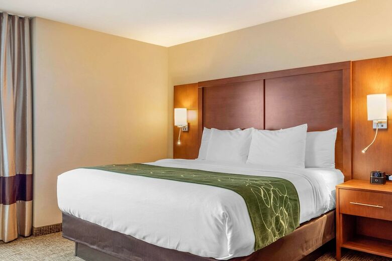 Posada Comfort Inn & Suites Schenectady - Scotia
