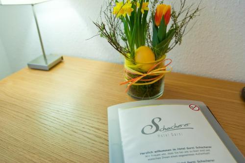Hostal Hotel Garni Schacherer