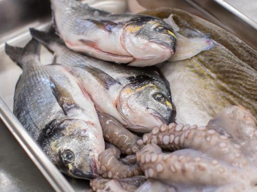 Hostal Gasthaus Rebstock Egringen