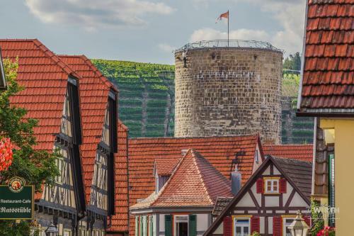 Apartment Am Schlosshof