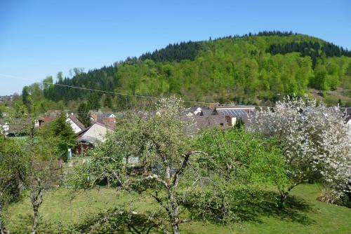 Apartamento Schwarzwald Domizil Uhlsberg
