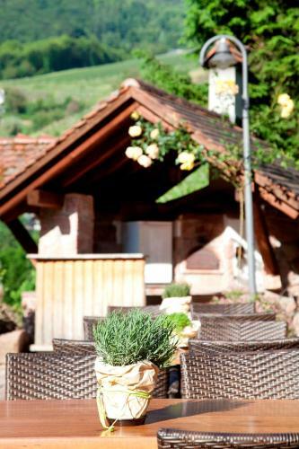 Hotel Saschwaller Burehus Holzwurm