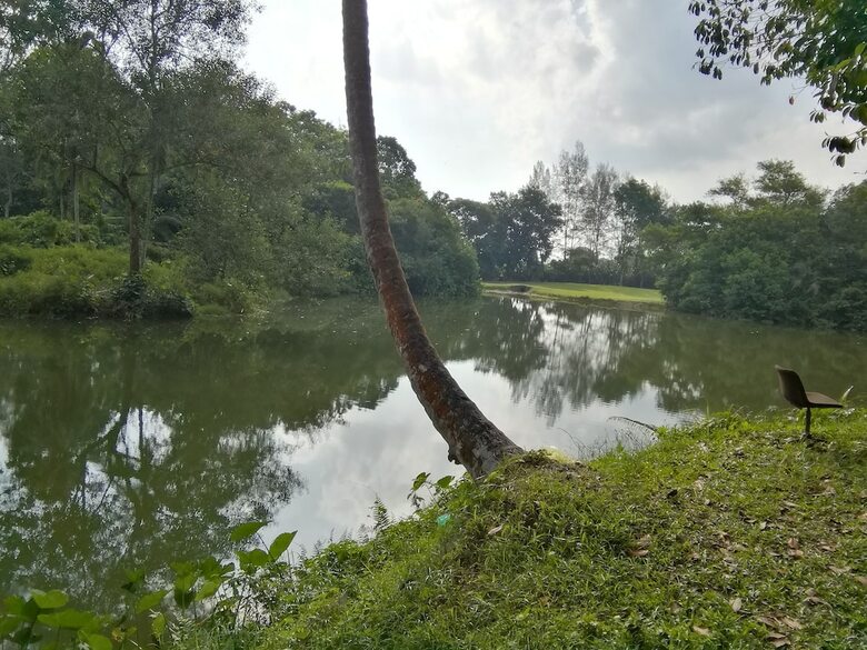 Janaview Taiping Hotel