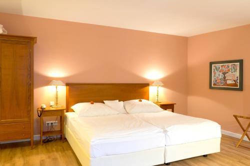 Hotel Viktoria Luise