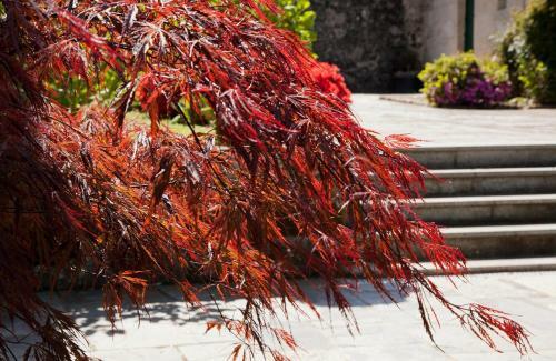 Agroturismo Jardines Pazo A F�brica