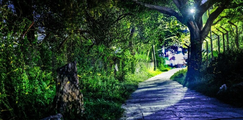 Oyo 154 Hotel Goa Palace