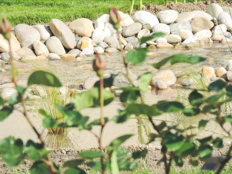 Bed & Breakfast Le Clos Du Presbyt�re