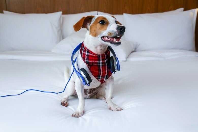 Hotel Radisson Blu S�o Paulo