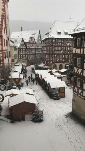 Hotel Schwanen In Der City