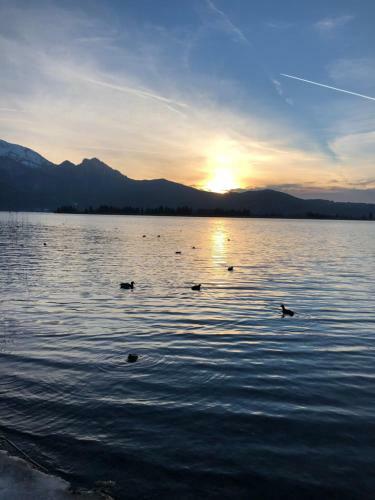 Hostal Gasthof Hotel Waltraud