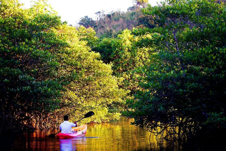 Hotel Bacau Bay Resort Coron