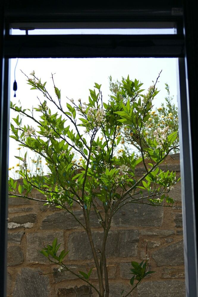 Villa Serifos Houses Aghios Sostis