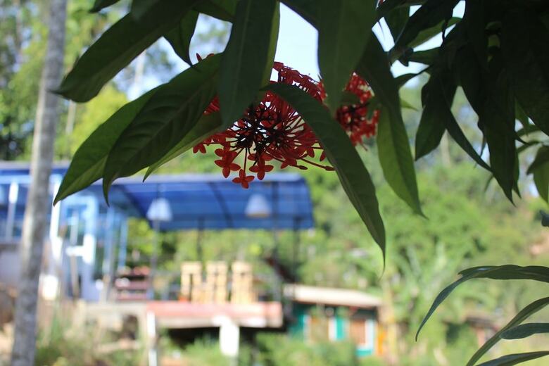 Hostal Hi Lanka Backpackers - Adults Only