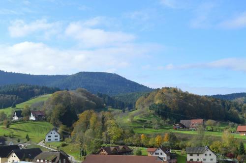 Apartamentos Ferienwohnung Im Herzen Des Renchtals