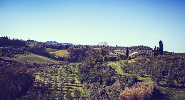Agroturismo Bio-agriturismo La Ginestra