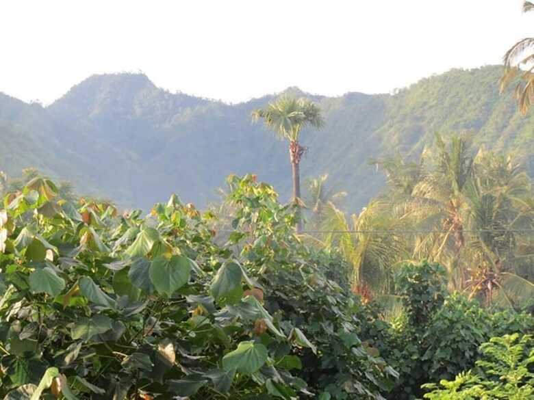 Hotel Bali Sari Homestay