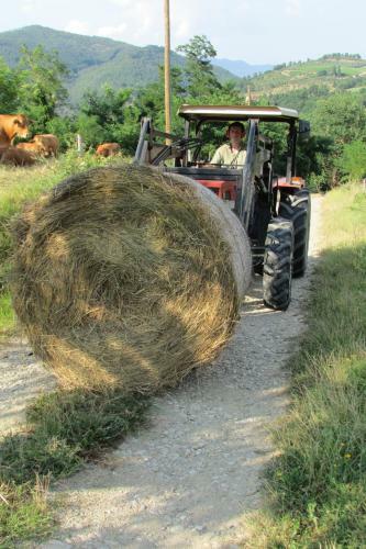 Agroturismo Trebbiolo