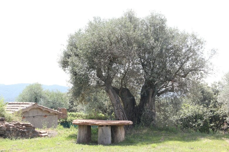 Hotel Masia Massanes