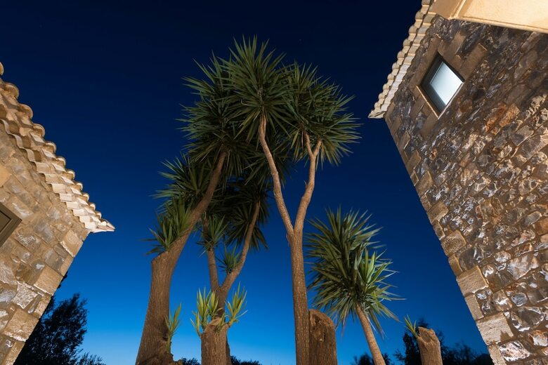 Apartamentos Calme Suites Mani