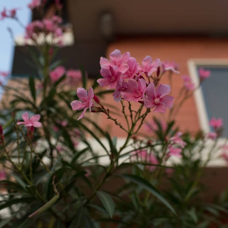Hotel Kuzhupilly Beach House