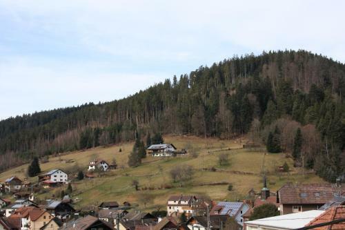 Hotel Schwarzwald-gasthof Hirsch