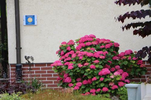 Apartamento Ferienwohnung-wieber