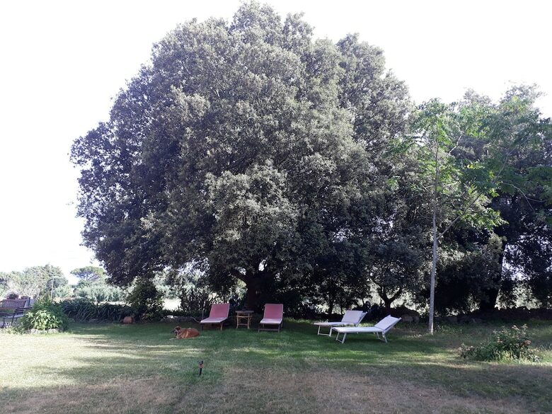 Apartamento Tenuta Argiano