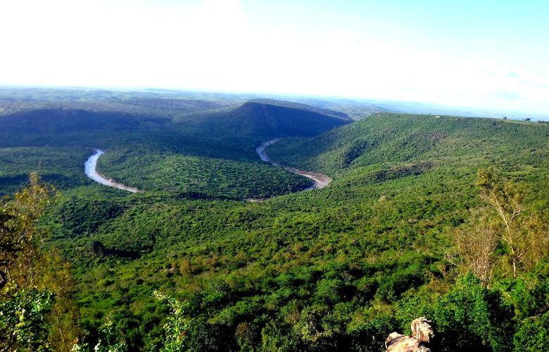 Hotel Shimba Green Lodge