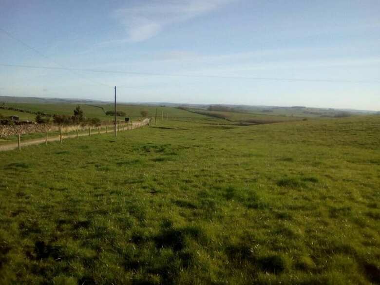 Bed & Breakfast Arbor Low