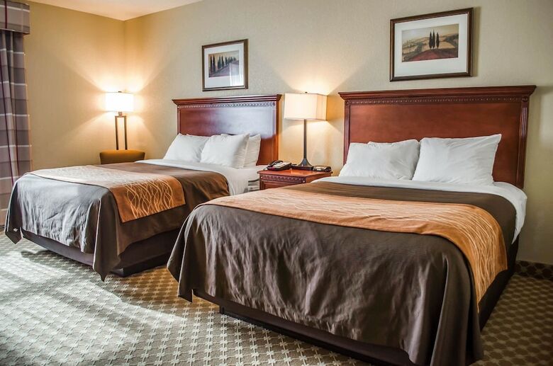 Hotel Comfort Inn & Suites Mobile Near Eastern Shore Centre
