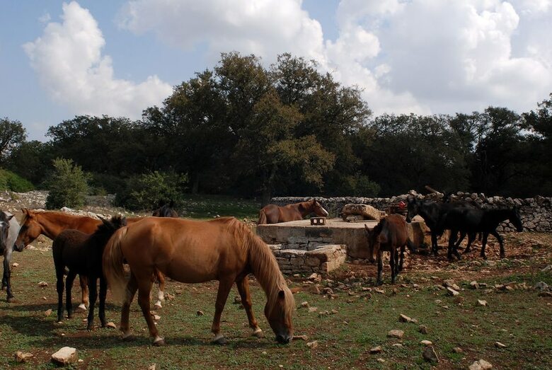 Agroturismo Masseria Iazzo Scagno