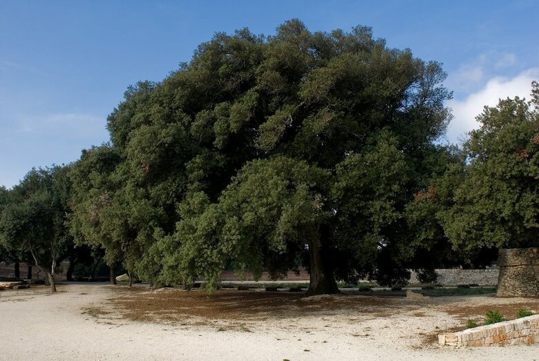 Agroturismo Masseria Iazzo Scagno