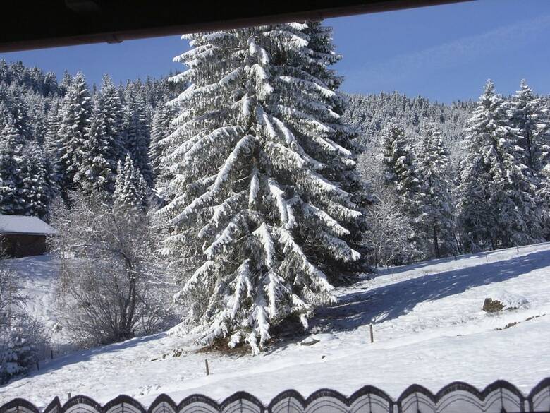 Schwarzwald- Hotel Kr�utle