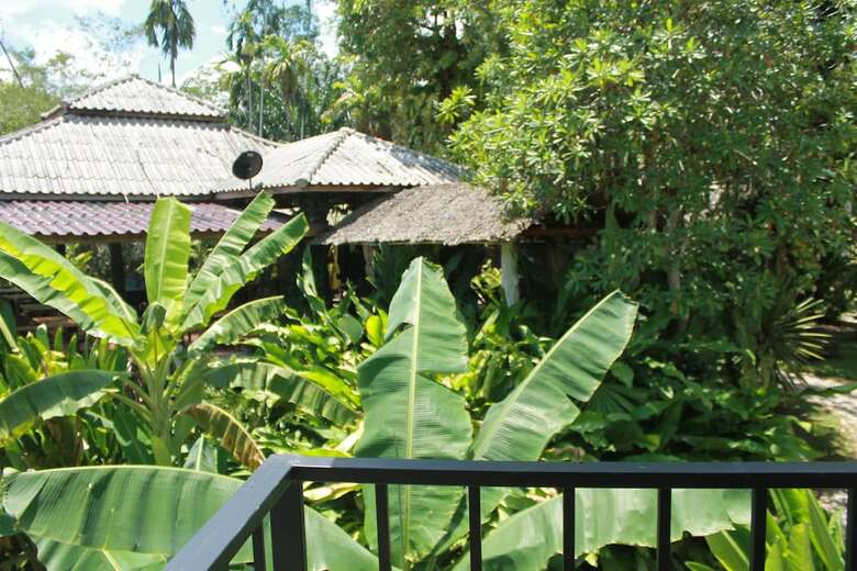 Hotel Khaosok River Camp