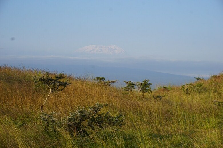 Posada Osiligilai Maasai Lodge