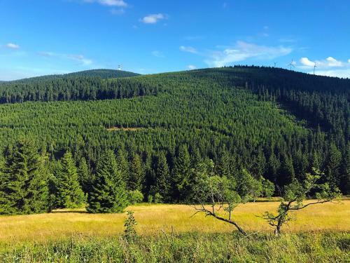 Apartments Oberwiesenthal-vierenstra�e