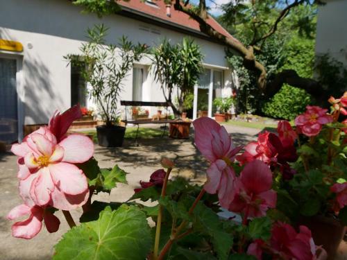 Hostal Pension Haus Friederike