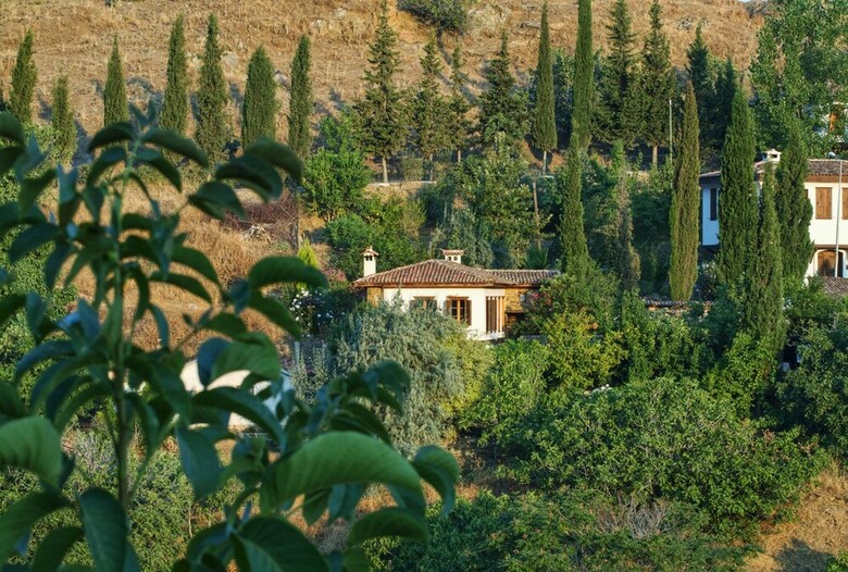Hotel Terrace Houses Sirince - Fig, Olive And Grapevine