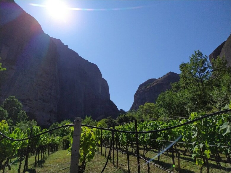 Tsikeli Hotel - Adults Only