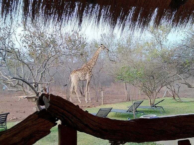 Posada Call Of The Wild Lodge