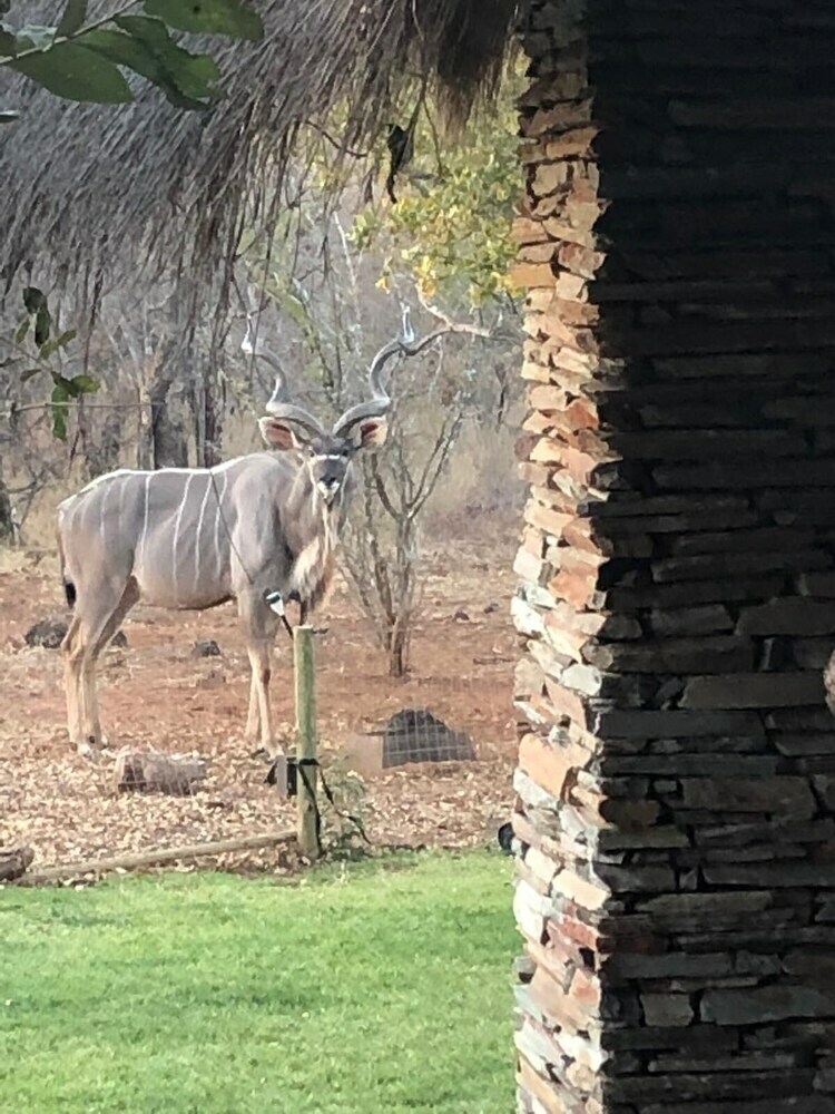 Posada Call Of The Wild Lodge