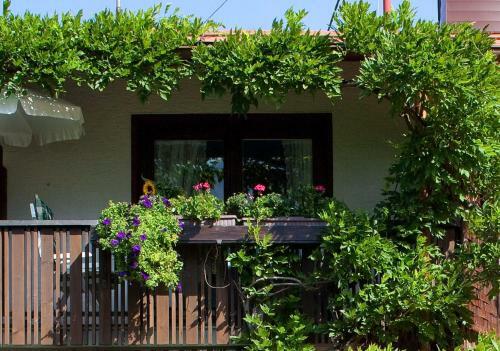 Apartamento Ferienwohnung Haus Breitenberg