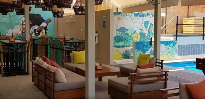 Hostal Mayan Monkey Los Cabos - Hostel - Adults Only