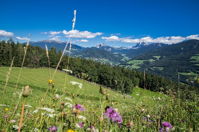 Gourmet Hotel & Restaurant Zum Steinbock