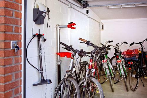 Hostal Logierhaus Rheintoreins