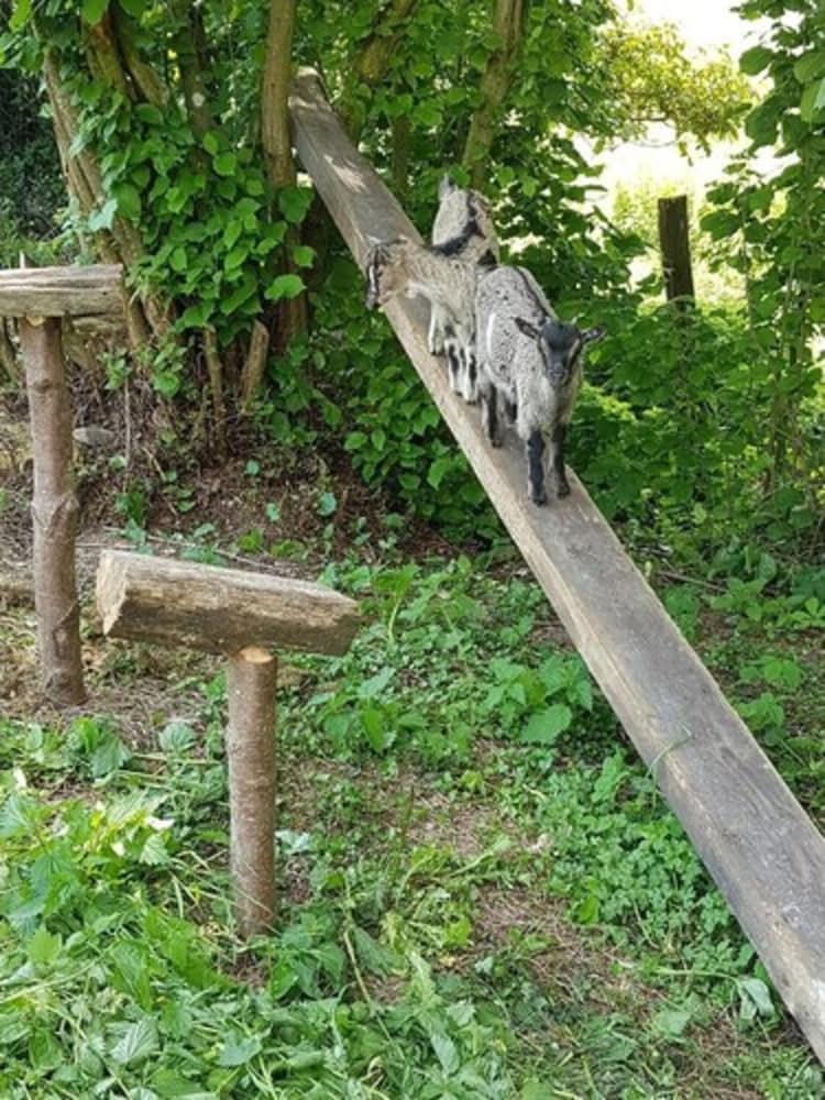 Bed & Breakfast Les Logis De La Maisonnette